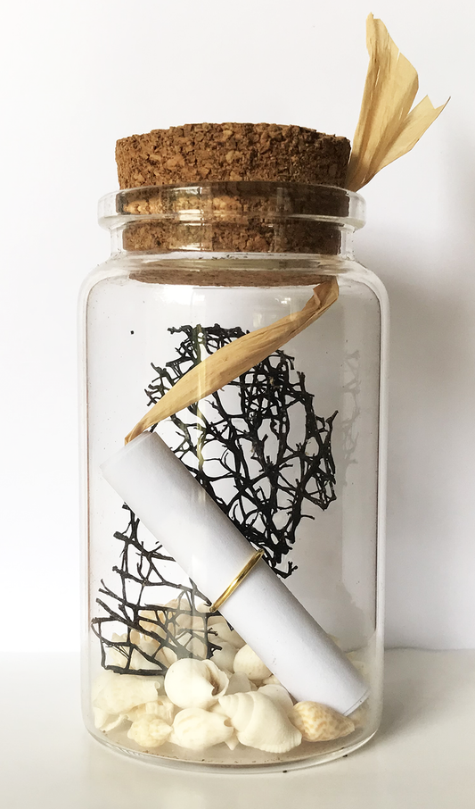 Message in a bottle | Fan Coral