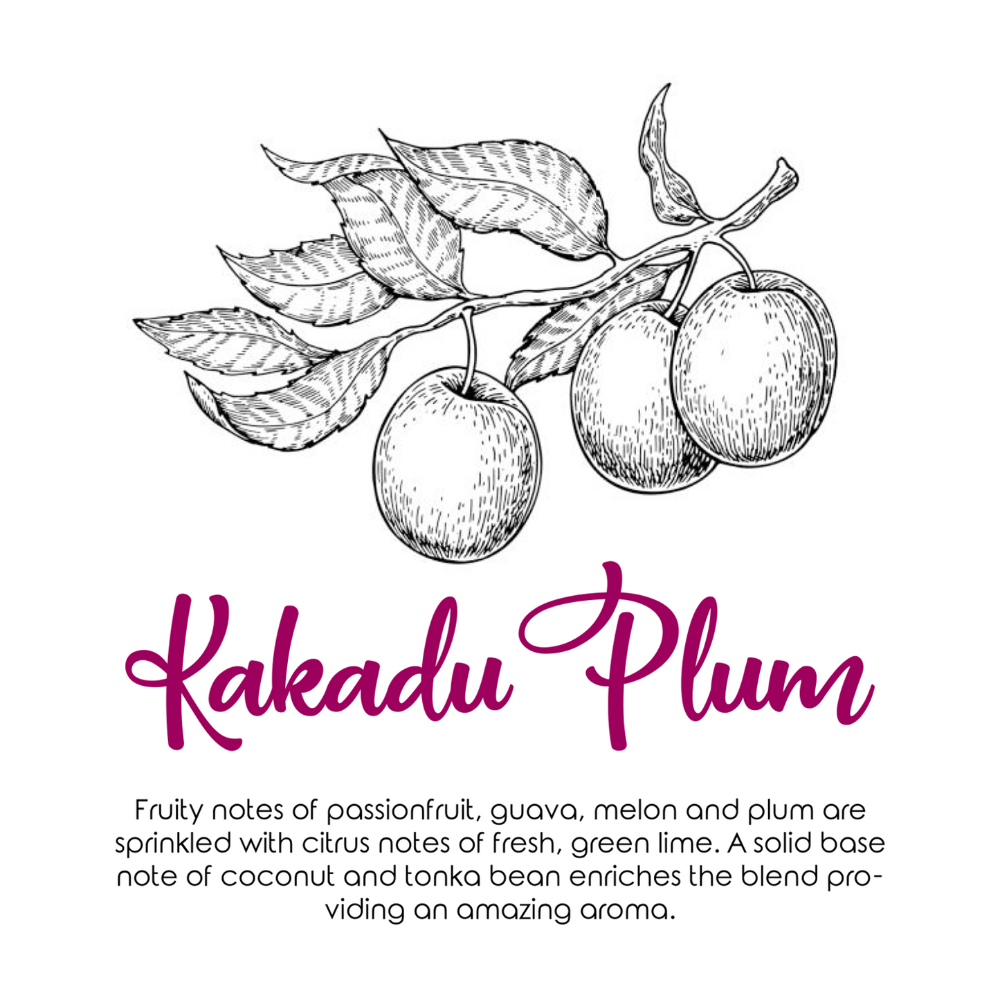 Shell Candle | MUM | Tattoo Design | Scallop | Hunter Gatherer