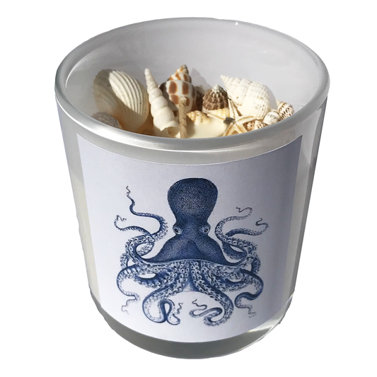 Hunter Gatherer / Pure soy wax shell candle  / KRAKEN DESIGN / Boxed