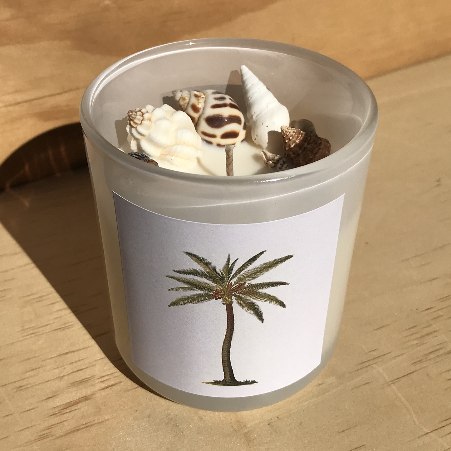 Hunter Gatherer / Pure soy wax shell candle / PALM TREE DESIGN / Boxed