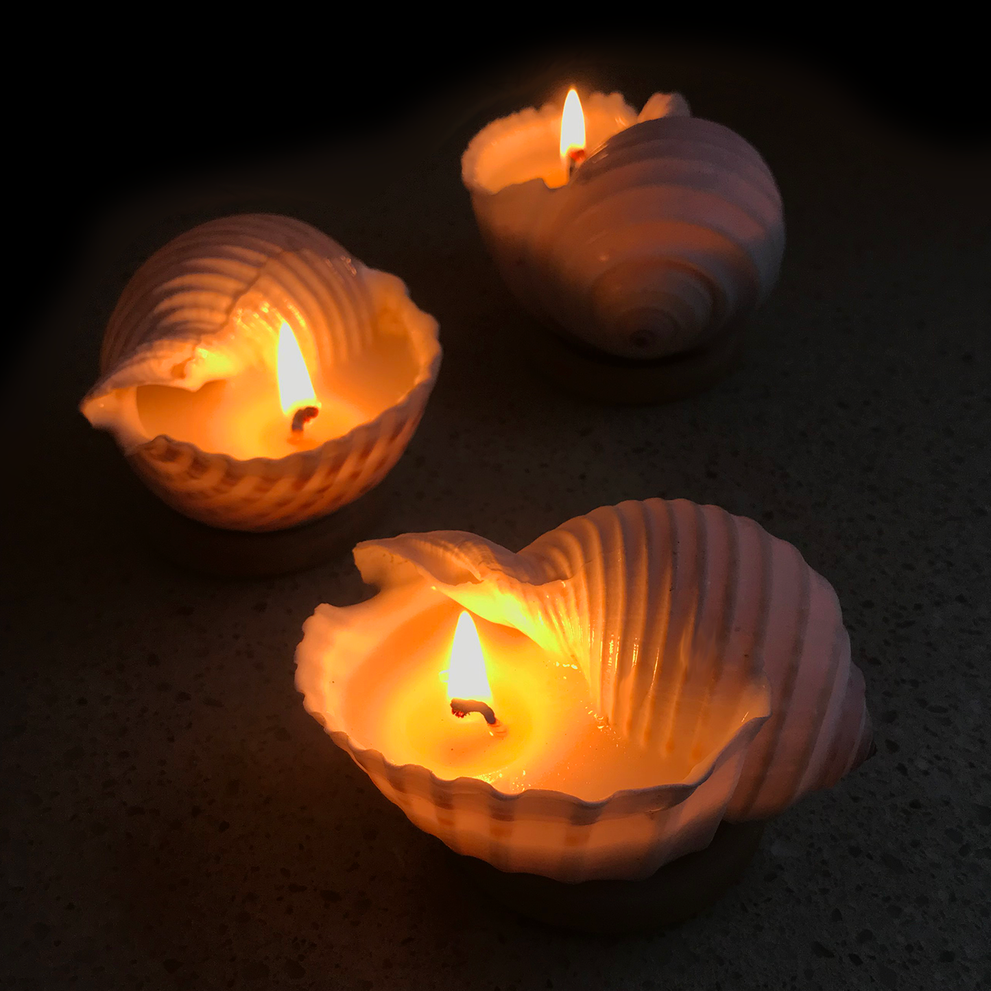 GENUINE SEA SHELL CANDLE - ALL NATURAL SCENTED SOY WAX CANDLE - Hand made in Noosa - Australia. Made by HUNTER GATHERER / Chapter five Noosa. Allow the warm ambient light of these candles, along with their delicious aromas to transform your home into a tranquil paradise!