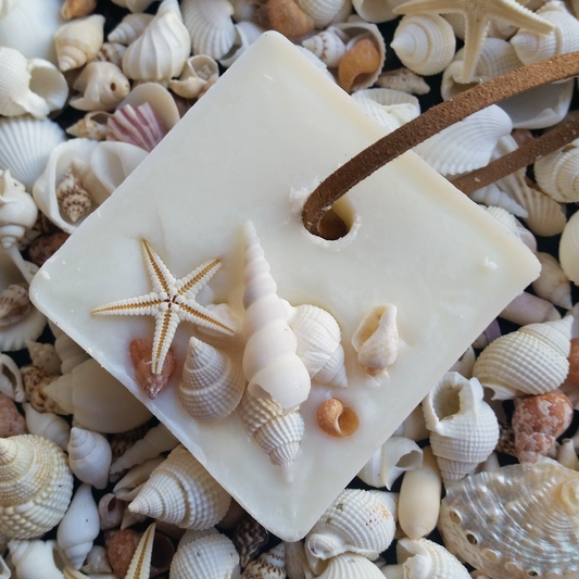 Lemon Myrtle & Sage | Soy Wax Wardrobe Tablet & Melt