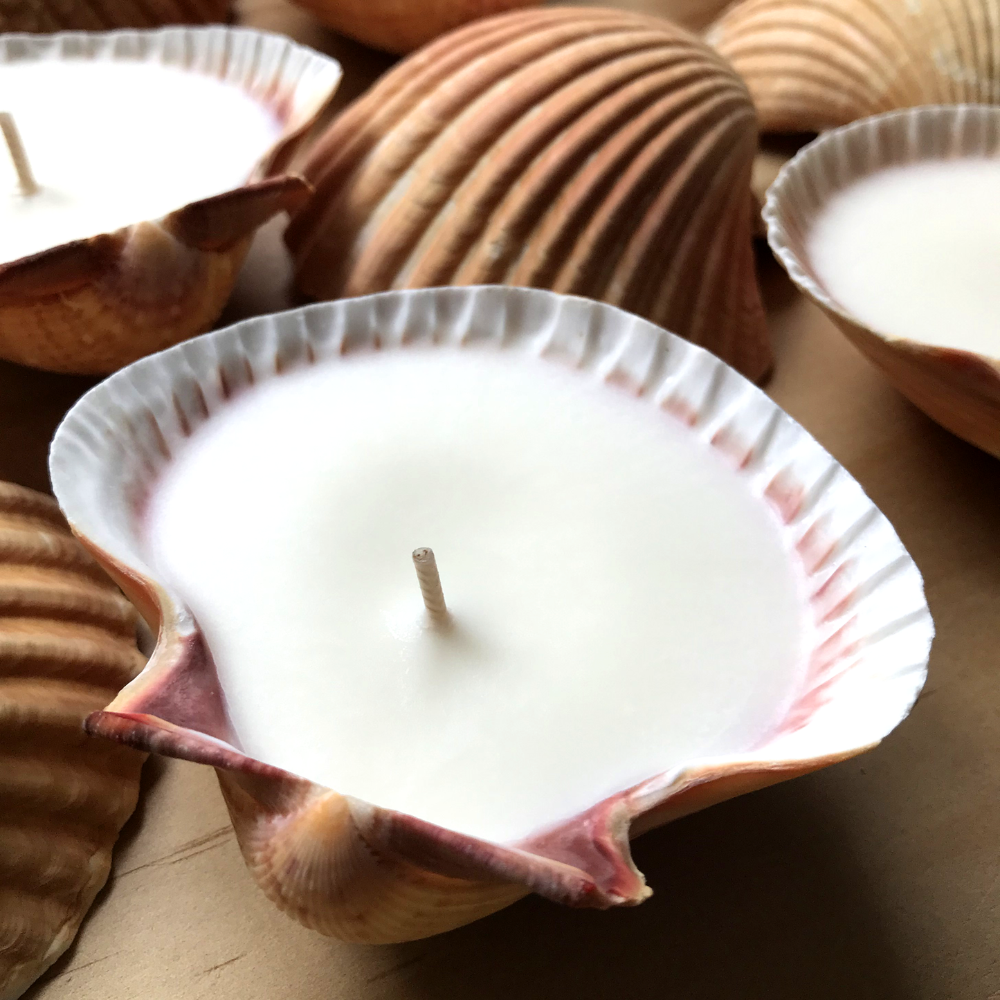 Best Teacher Gift | Shell Candle | Scented Soy Wax