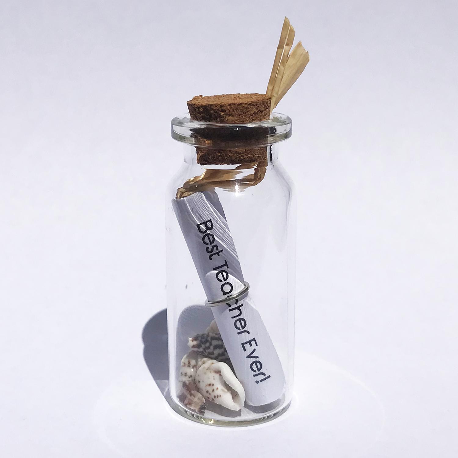 Tula message in a bottle 2025