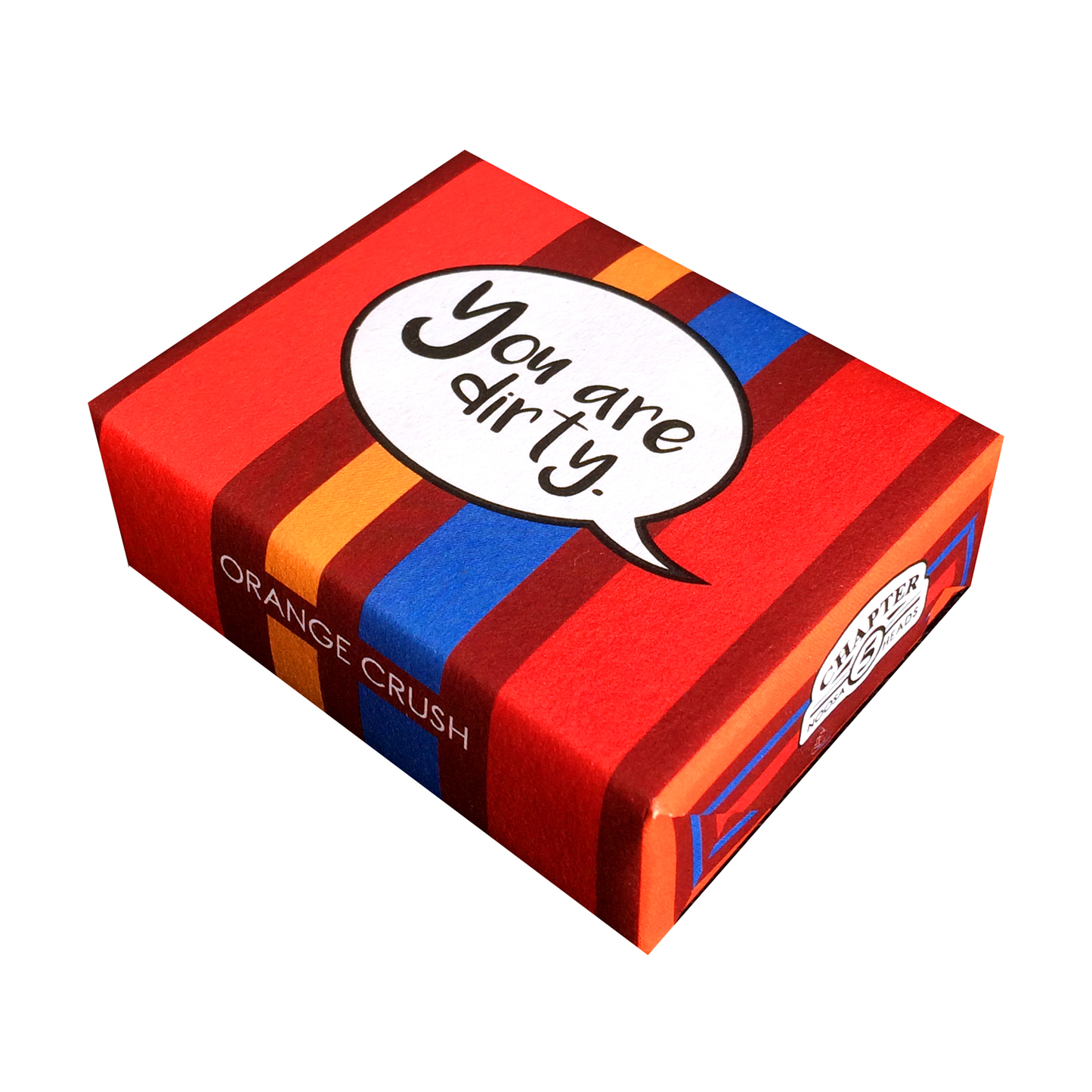 You are Dirty Gift Soap by Chapter Five Noosa