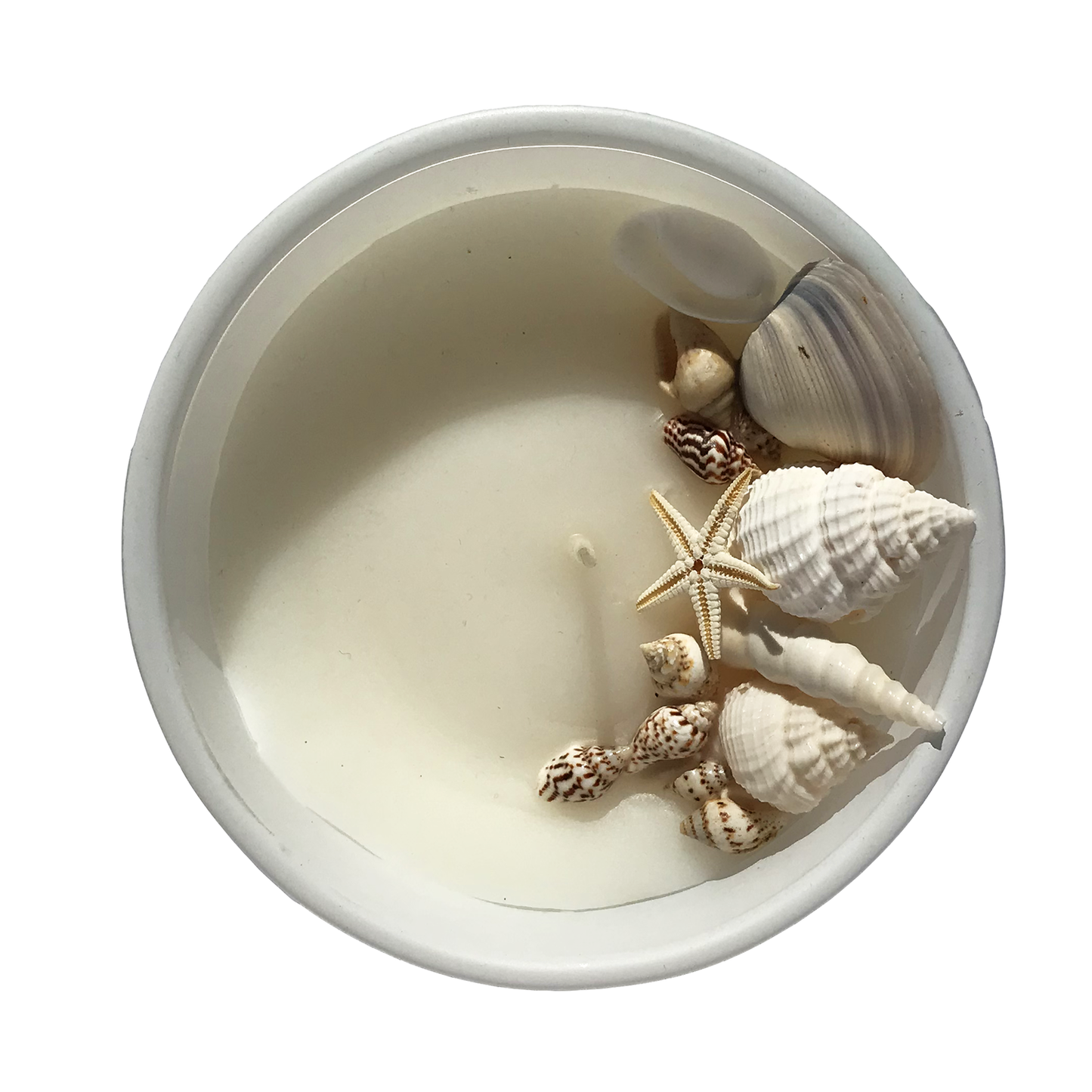 Hunter Gatherer / Pure soy wax shell candle / CORAL DESIGN / Boxed