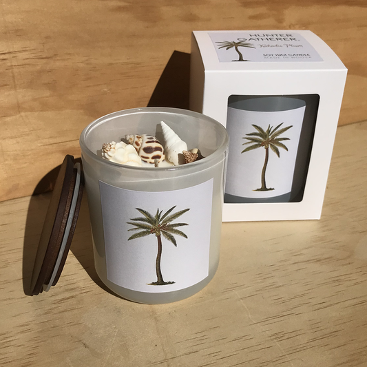Hunter Gatherer / Soy wax sea shell candle / PAL TREE DESIGN / Boxed / Handmade in Noosa  COASTAL COLLECTION  By Hunter Gatherer  Glass container with elegant timeless design filled with pure soy wax and fragrance oil / 300 grams  HAND MADE IN NOOSA FROM PURE NATURAL SOY WAX & SUSTAINABLY SOURCED SEA SHELLS. PACKAGED WITH ETHICALLY PRODUCED RECYCLED MATERIALS