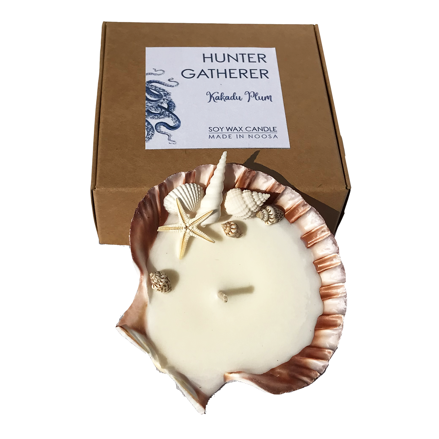 Shell Candle Scented Soy Wax | Scallop | Hunter Gatherer