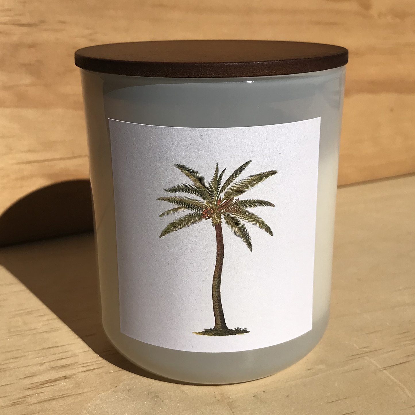 Hunter Gatherer / Pure soy wax shell candle / PALM TREE DESIGN / Boxed