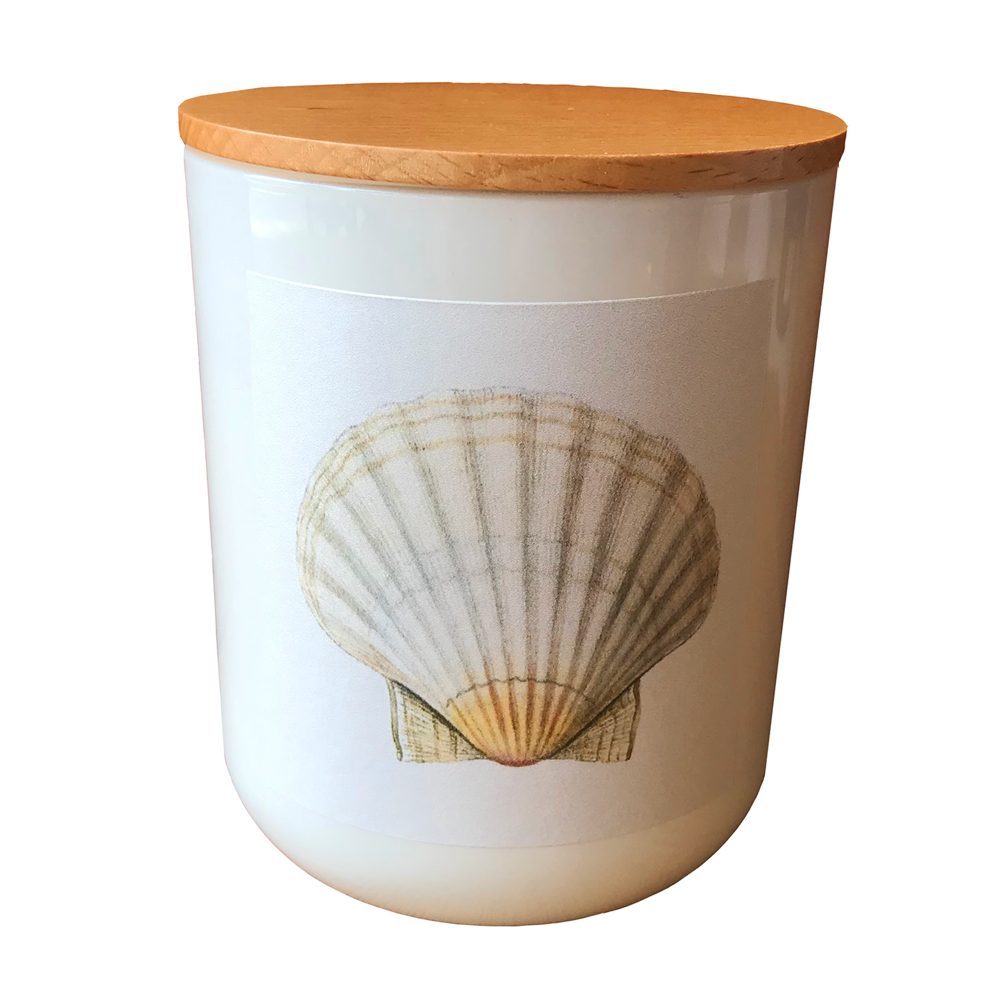 Hunter Gatherer / Pure soy wax shell candle / SCALLOP SHELL DESIGN / Boxed