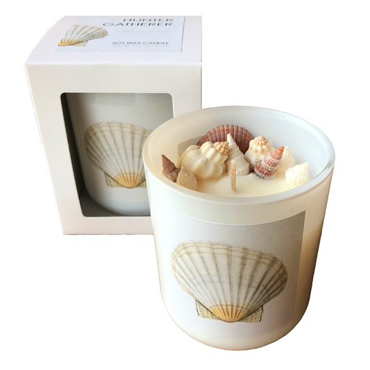 Hunter Gatherer / Pure soy wax shell candle / SCALLOP SHELL DESIGN / Boxed