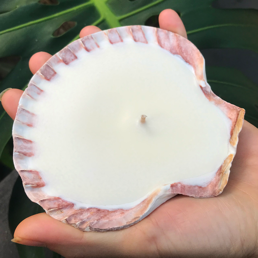 Shell Candle Scented Soy Wax | Scallop | Large  | Hunter Gatherer