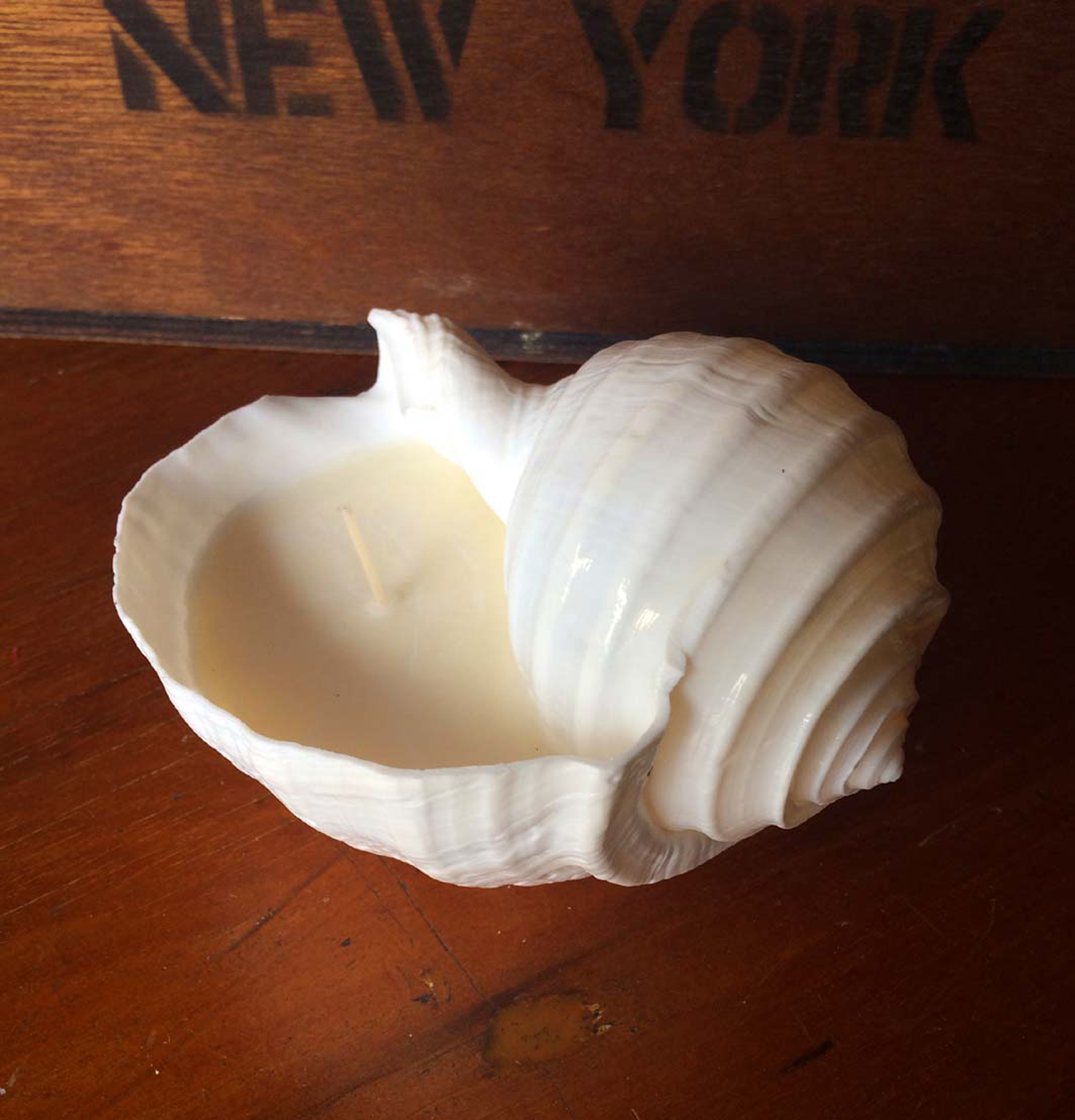 Shell Candle Handmade By Chapter Five Noosa